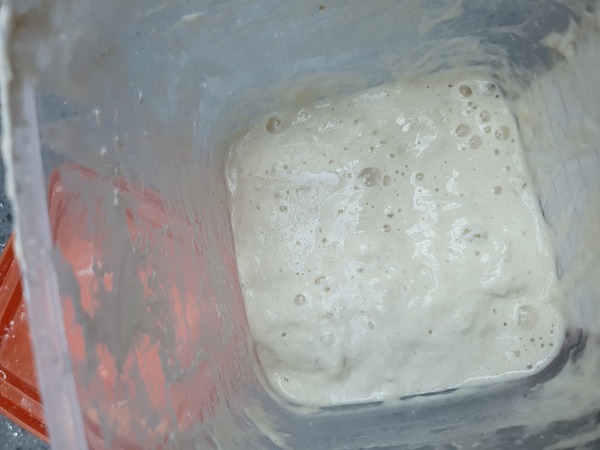 Calling sourdough starter experts!