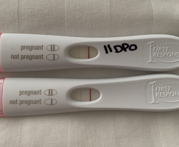 BBT Chart — should it be dropping 3dpo?