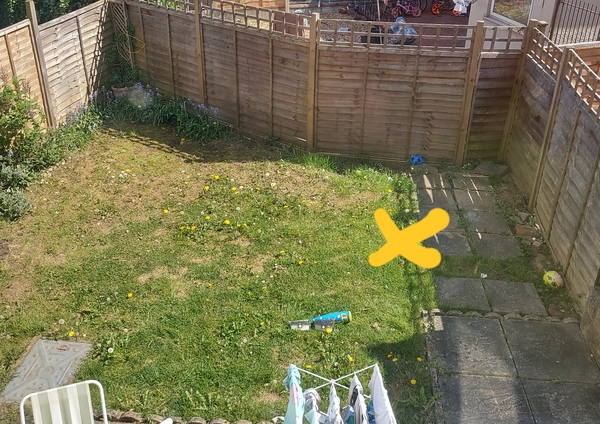 Tree for a small garden?