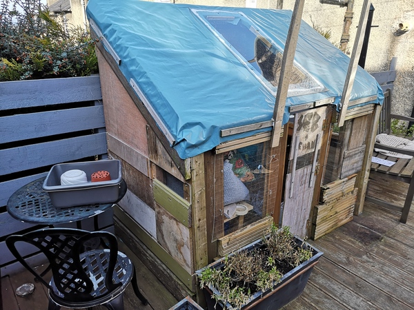 2020 new Gardeners’  thread