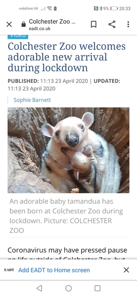 Cute pet and wildlife thread