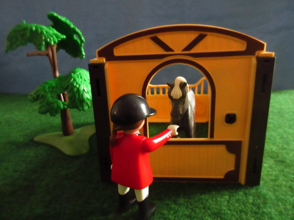 An outbreak of Covid-19 has occurred for the Playmobil people in our house...