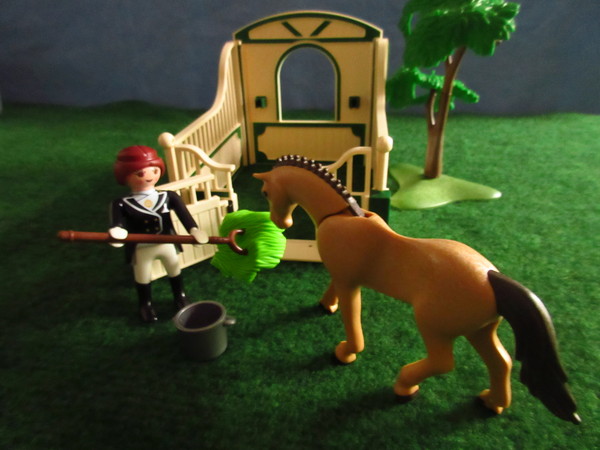 An outbreak of Covid-19 has occurred for the Playmobil people in our house...