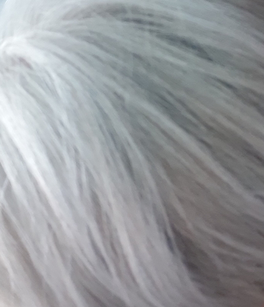 Did anybody go grey at a young age?