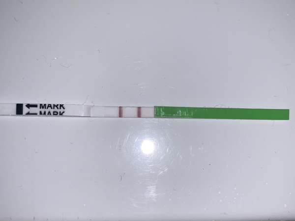 Positive opk?