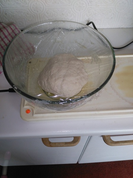 Calling sourdough starter experts!