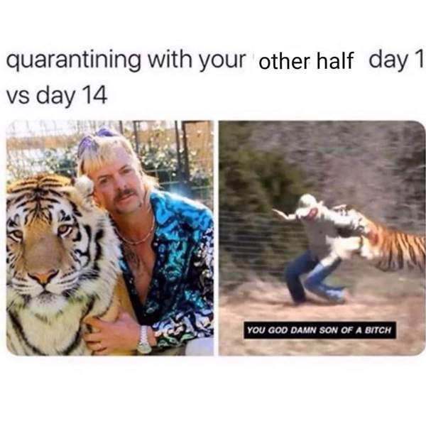 AIBU to ask for your favourite isolation memes?