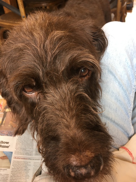 A thread for calm - peace, happy thoughts, support.