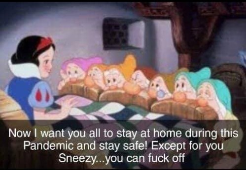 AIBU to ask for your favourite isolation memes?