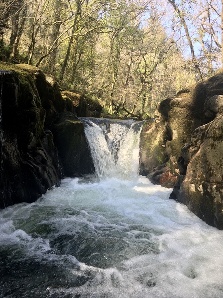 Any Witches Here? Part 11