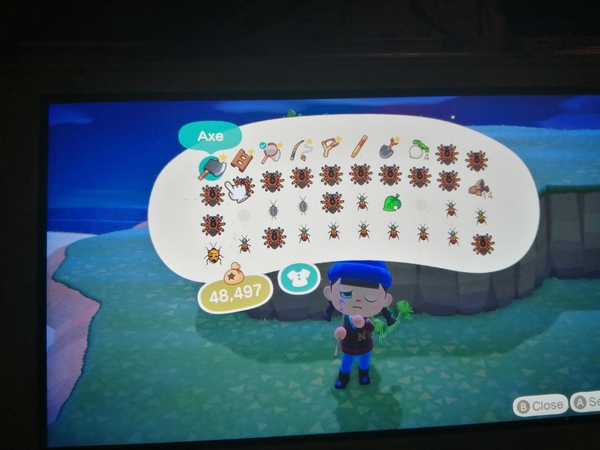 Animal Crossing- New Horizons