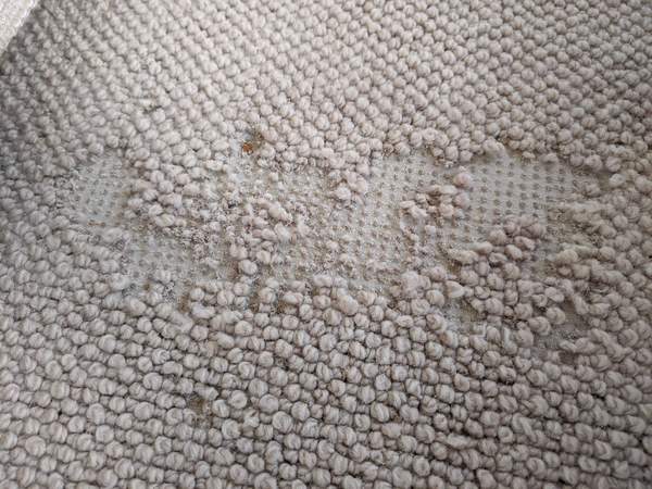 Help! Carpet-eating crawlies!