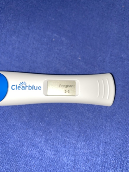 December 2020 babies