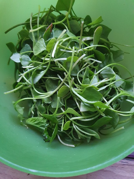 Frugal Foodies, thread 2! Favourite leftover dishes, avoiding waste, menu ideas.