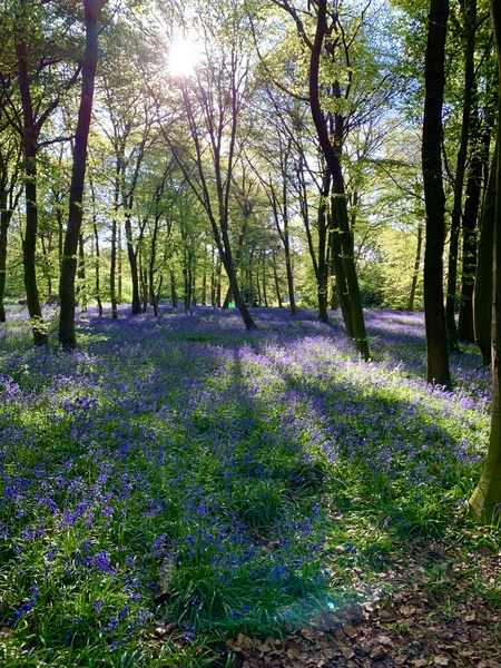 April Amigos Accounting Achievements and Adaptability