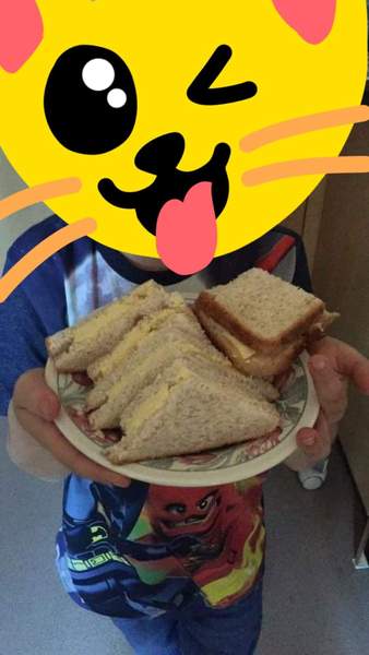 6 year old refusing to eat (underweight)