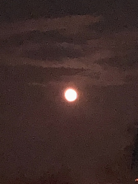 Omigod... the moon!
