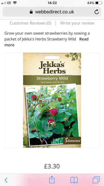 Wild Strawberries