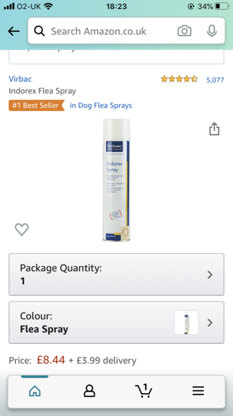 Any ideas what might be biting my son?