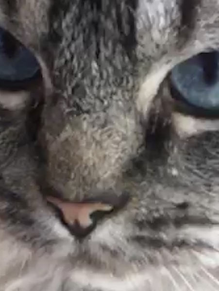 Nose thread.