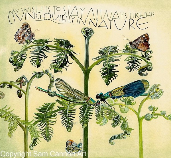 A thread for calm - peace, happy thoughts, support.