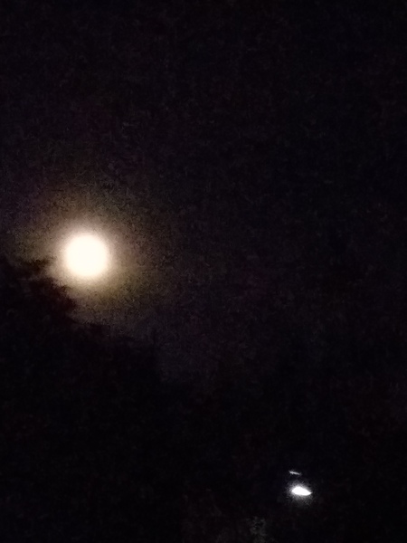 whose stolen the moon?