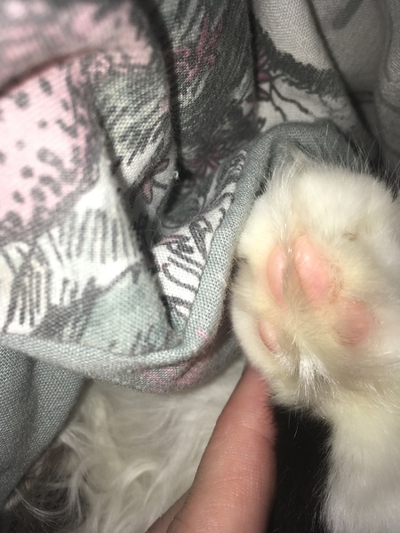 Nose thread.
