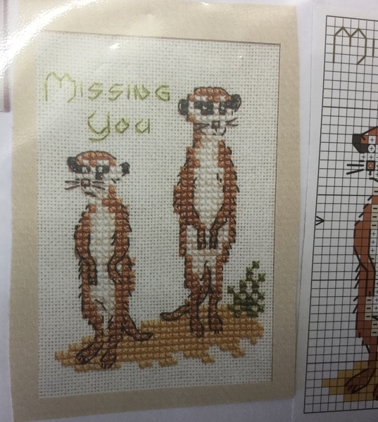 What are the crafty folks of MN up to lately?