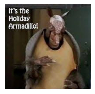 Is Armadillo a good name for a baby boy?