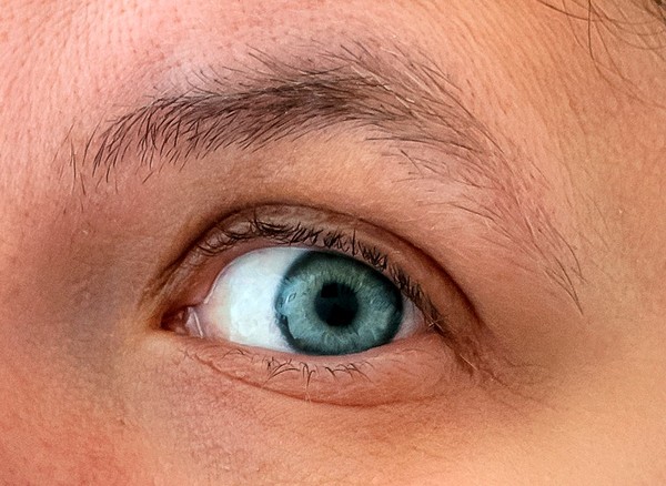 What percentage of women do you think don’t pluck or wax their eyebrows ?