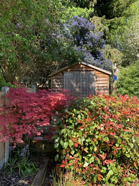 April Amigos Accounting Achievements and Adaptability