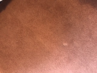 What paint colour to go with this, ummm, unusual, carpet?