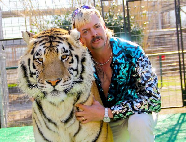Tiger catches Coronavirus from its keeper