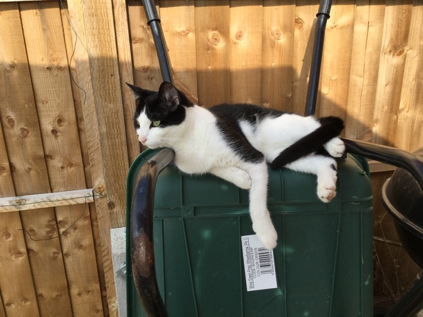 A thread for calm - peace, happy thoughts, support.