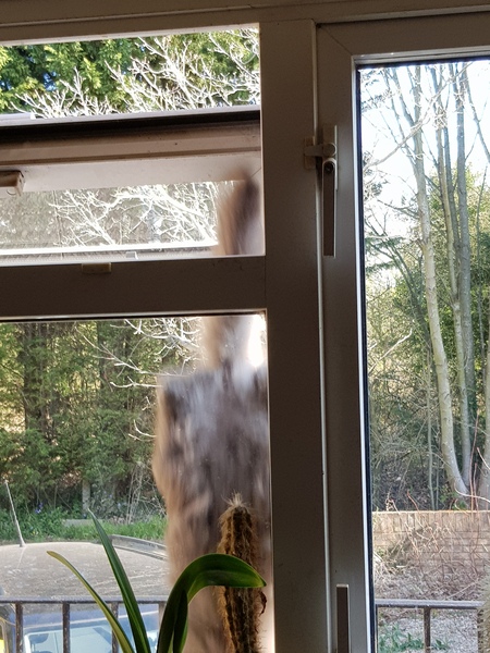What's your DCat up to today? (Thread 7!)