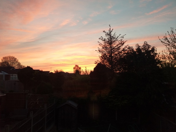 April Amigos Accounting Achievements and Adaptability