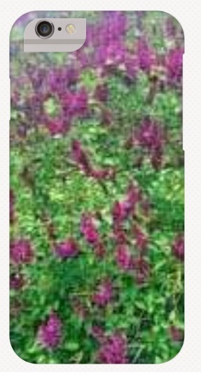 Found a phone in my garden - isolated property - shit scared