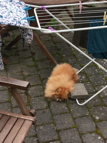 WASHING OUTDOORS?