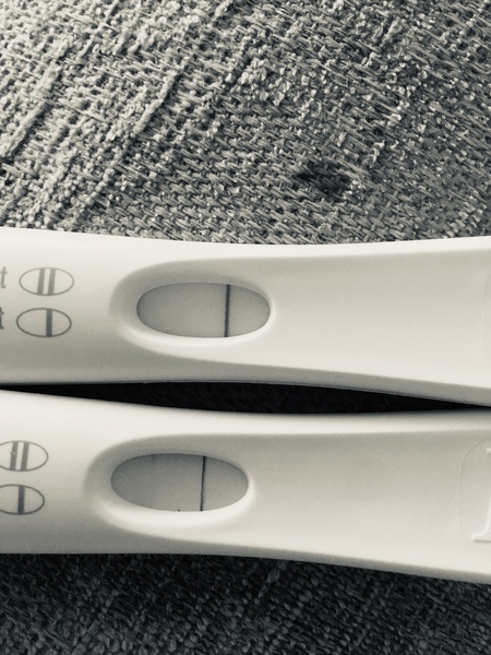 Early pregnancy
