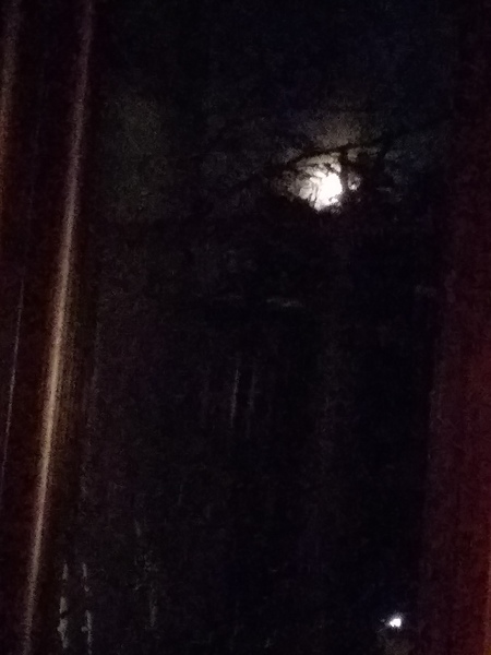 whose stolen the moon?