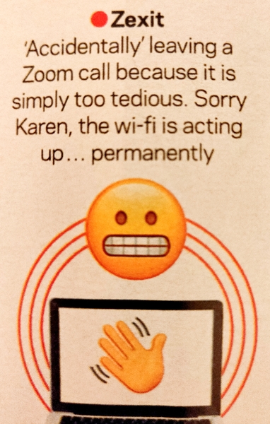 Do you find the term/meme 'Karen' an insult?