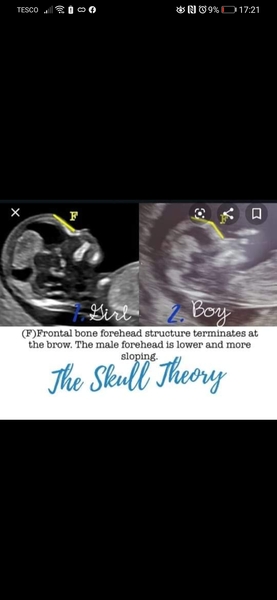 Nub theory any guesses