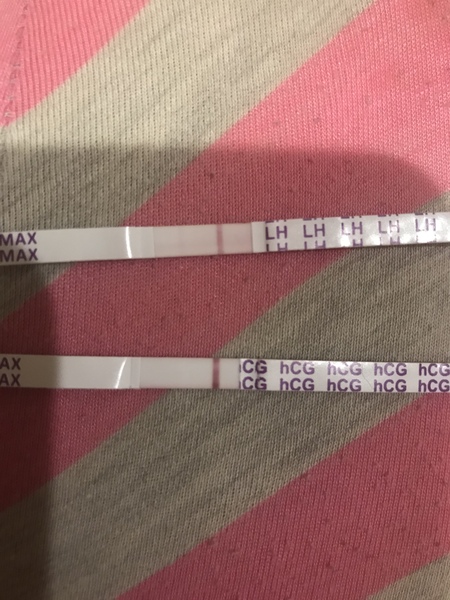 Support thread for women who are pregnant or TTC after a termination for abnormalities - Thread 6