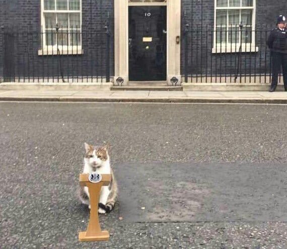 Boris to resign ?