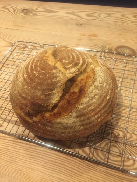 Calling sourdough starter experts!
