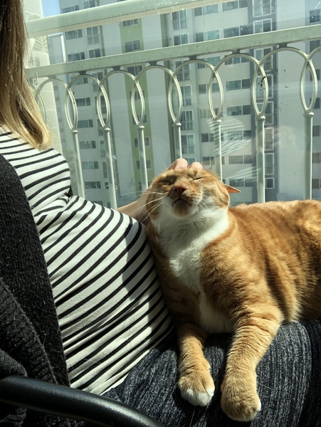 Due June 2020: Thread 5