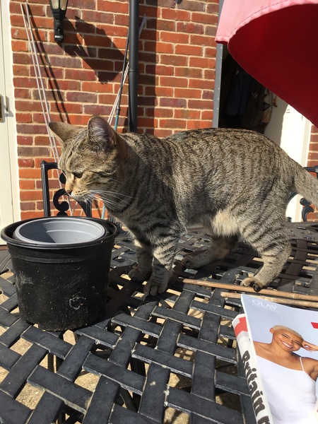 A thread for calm - peace, happy thoughts, support.