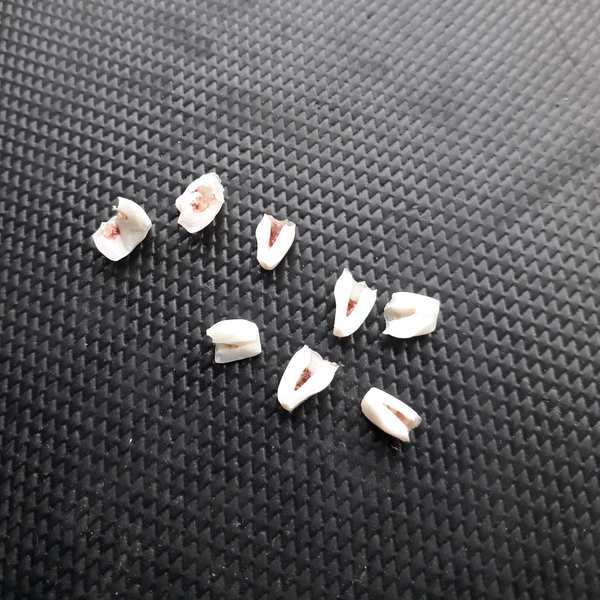 Query for the teeth keepers/dentists