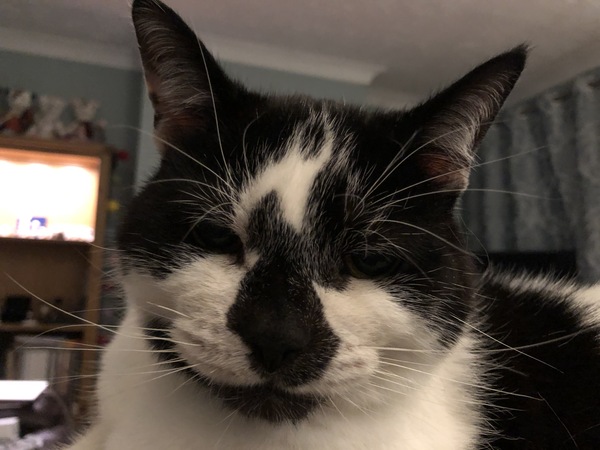 Nose thread.