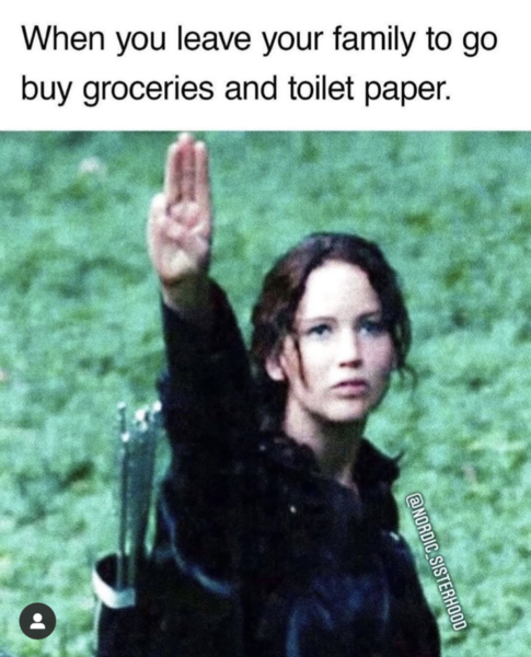 AIBU to ask for your favourite isolation memes?